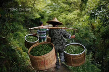 Load image into Gallery viewer, 2023 MiTuoYan RouGui(弥陀岩肉桂)