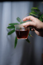 Load image into Gallery viewer, Tongxinshe Teahouse Recommends Aged Rock Tea: 2001 Shui Jin Gui