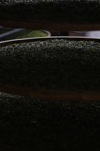 Load image into Gallery viewer, 2023 Oolong Tea "Phoenix Dancong/Milan Xiang"