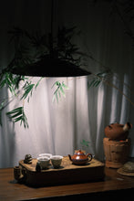 Load image into Gallery viewer, 2020 Ma Tou Yan Rou Gui traditionally charcoal roasted three times.