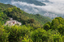 Load image into Gallery viewer, Guangdong Oolong Tea Phoenix Dancong "Brothers Tea"/兄弟仔。