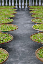 Load image into Gallery viewer, 2023 Song Zhong from the 200-year-old DaAn Ancient Tea Garden.