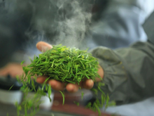 Load image into Gallery viewer, Autumn limited edition "Special Osmanthus Longjing Tea"