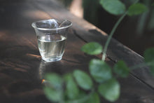 Load image into Gallery viewer, A Cup of Jasmine Silver Needle Tea: Hiding All the Vividness and Tenderness of the World