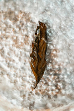 Load image into Gallery viewer, 2023 武夷岩茶“素心兰”/Golden Thread Orchid