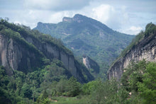 Load image into Gallery viewer, 2024 Discovering the Allure of Beidou: A Hidden Gem in Wuyi Rock Tea
