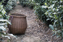 Load image into Gallery viewer, Tongxin She Teahouse: Tracing the Source of Premium West Lake Longjing Tea, Customizing the Supreme Flavor of Spring Tea
