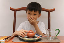 Load image into Gallery viewer, Limited Edition "Jiang Po Ni Ju Lun Zhu Zisha Teapot"