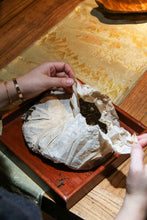Load image into Gallery viewer, Changtai • Tea Zhongyuan Tea Collection (2003) limited edition/Puer Sheng Tea