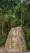 Load image into Gallery viewer, Guafengzhai Tea King Tree Ancient Tree Shengpusan 2017