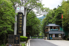 Load image into Gallery viewer, 2023 Tong Mu Guan Jin Jun Mei