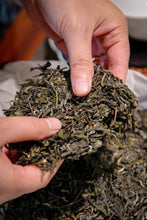 Load image into Gallery viewer, 2023 Ma Hei Gu Shu Puer Sheng Tea