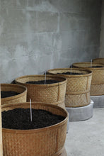 Load image into Gallery viewer, 2022 Small Wu Yi Rou Gui/小武夷肉桂。