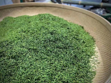 Load image into Gallery viewer, 2023 Tong Mu Guan Jin Jun Mei