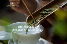 Load image into Gallery viewer, 2023 Tongxinshe Teahouse Green Tea Collection.