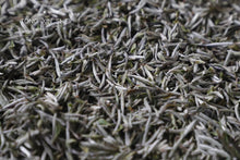 Load image into Gallery viewer, 2023 Charcoal Roasted White Tea "Bai Hao Yin Zhen"