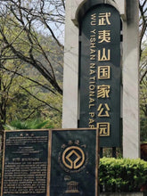 Load image into Gallery viewer, 2023 Tung Mu Guan Bamboo Forest Wild Black Tea.