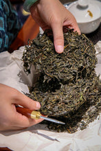 Load image into Gallery viewer, 2023 Ma Hei Gu Shu Puer Sheng Tea