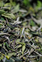 Load image into Gallery viewer, 2023 Taimu Mountain Wilderness "White Peony"