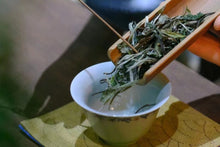 Load image into Gallery viewer, 2023 Taimu Mountain Wilderness "White Peony"