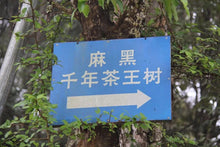 Load image into Gallery viewer, 2023 Ma Hei Gu Shu Puer Sheng Tea