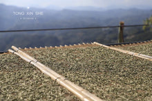 Load image into Gallery viewer, 2023 Charcoal Roasted White Tea "Bai Hao Yin Zhen"