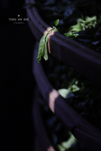 Load image into Gallery viewer, 2023 Tung Mu Guan Bamboo Forest Wild Black Tea.