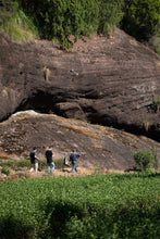 Load image into Gallery viewer, 2022 Small Wu Yi Rou Gui/小武夷肉桂。