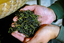 Load image into Gallery viewer, 2023 Phoenix Dan Cong "Da An Bamboo Leaf Fragrance"大庵竹叶香.