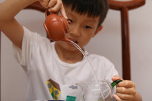 Load image into Gallery viewer, Limited Edition "Jiang Po Ni Ju Lun Zhu Zisha Teapot"