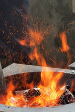 Load image into Gallery viewer, 2023 Taimu Mountain Wilderness "White Peony"