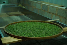 Load image into Gallery viewer, 2023 Tong Mu Guan Jin Jun Mei