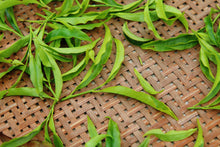 Load image into Gallery viewer, 2023 Phoenix Dan Cong "Da An Bamboo Leaf Fragrance"大庵竹叶香.