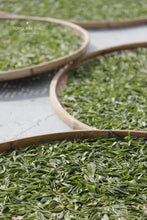 Load image into Gallery viewer, 2023 Tung Mu Guan Bamboo Forest Wild Black Tea.