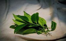 Load image into Gallery viewer, 2023 Wuyi rock tea "Mao Cha" tasting pack / limited to 1 bag / 8g.