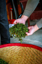 Load image into Gallery viewer, 2023 Phoenix Dan Cong "Da An Bamboo Leaf Fragrance"大庵竹叶香.