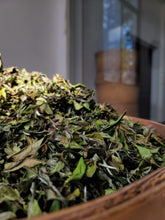 Load image into Gallery viewer, 2023 Taimu Mountain Wilderness "White Peony"