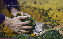 Load image into Gallery viewer, 2023 Tung Mu Guan Bamboo Forest Wild Black Tea.