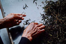 Load image into Gallery viewer, 2023 Wuyi rock tea "Mao Cha" tasting pack / limited to 1 bag / 8g.