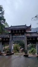 Load image into Gallery viewer, Guafengzhai Tea King Tree Ancient Tree Shengpusan 2017