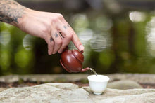 Load image into Gallery viewer, Ai Jiao Wulong Wuyi Yancha (50g)