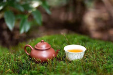 Load image into Gallery viewer, Ai Jiao Wulong Wuyi Yancha (50g)