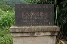 Load image into Gallery viewer, Ai Jiao Wulong Wuyi Yancha (50g)