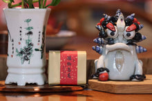 Load image into Gallery viewer, Ai Jiao Wulong Wuyi Yancha (50g)