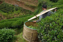 Load image into Gallery viewer, Wuyishan rock tea Huang Qi (黄奇)