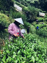 Load image into Gallery viewer, Wuyishan rock tea Huang Qi (黄奇)