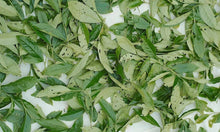 Load image into Gallery viewer, The first batch of national intangible cultural heritage Wuyi rock tea (Dahongpao) production skills inheritor: "Special Grade Handmade Ma Tou Yan Rou Gui" by Mr. Wang Guoxing: