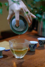 Load image into Gallery viewer, 2022 Taimu Mountain White Peony