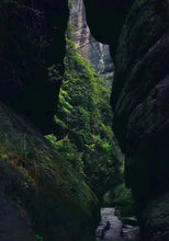 Load image into Gallery viewer, Wuyi Rock Tea Zheng Yan “Bi Shi Yan Rou Gui”