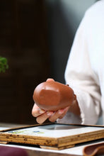 Load image into Gallery viewer, Fuzhu Tea Pet(福猪茶宠)